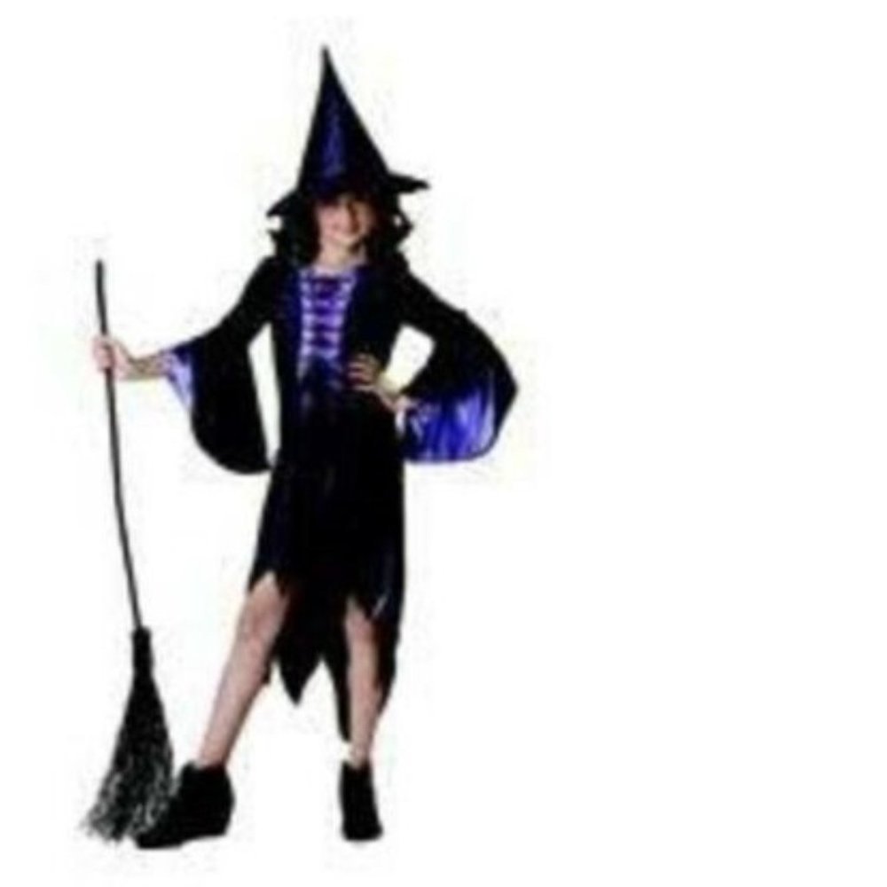 Witch Halloween Costume 12/14 Spider Purple Black Dress & Hat 2 Pc Girls
